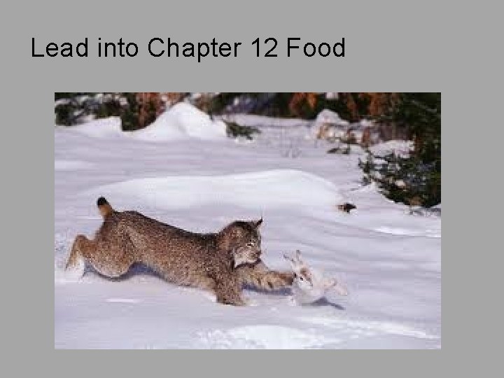 Lead into Chapter 12 Food 