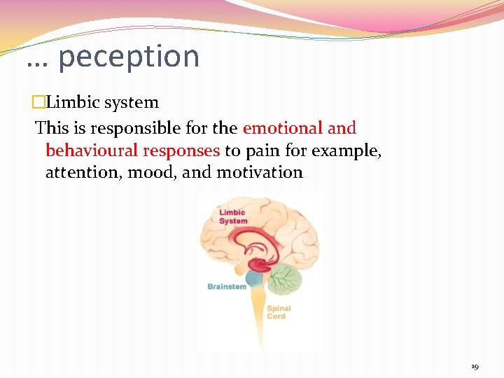 … peception �Limbic system This is responsible for the emotional and behavioural responses to