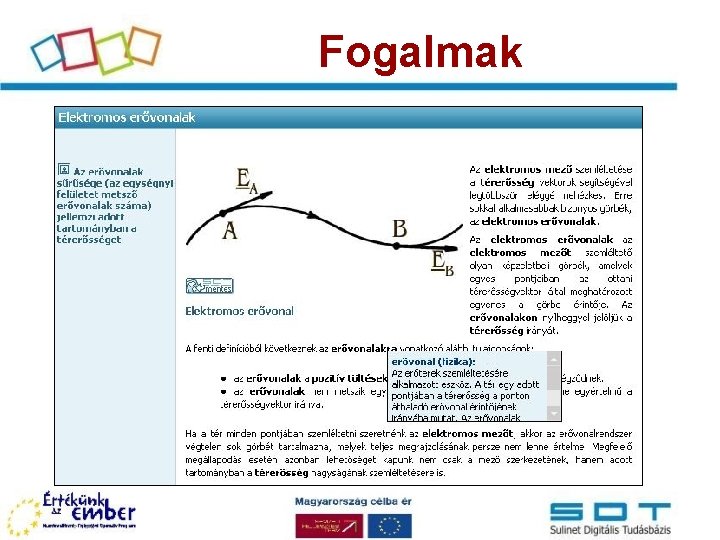 Fogalmak 