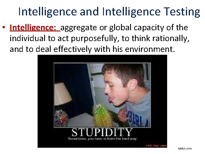 Intelligence and Intelligence Testing • Intelligence: aggregate or global capacity of the individual to