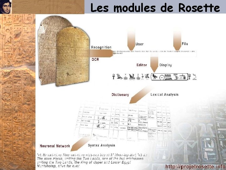 Les modules de Rosette 