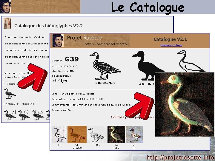 Le Catalogue 