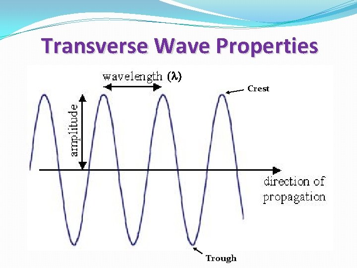 Transverse Wave Properties (l) Crest Trough 