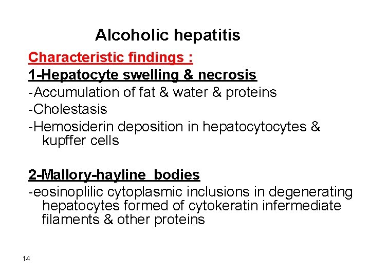 Alcoholic hepatitis Characteristic findings : 1 -Hepatocyte swelling & necrosis -Accumulation of fat &