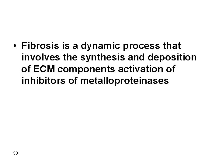  • Fibrosis is a dynamic process that involves the synthesis and deposition of