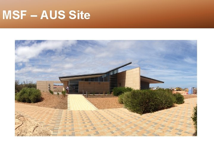 MSF – AUS Site 