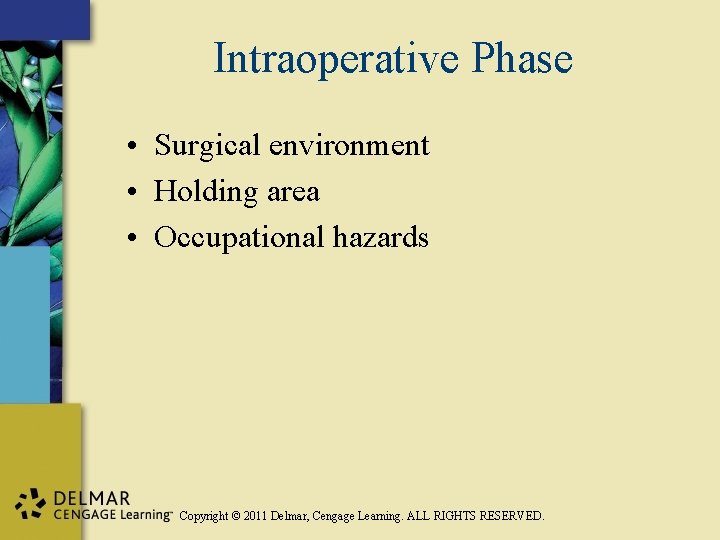 Intraoperative Phase • Surgical environment • Holding area • Occupational hazards Copyright © 2011