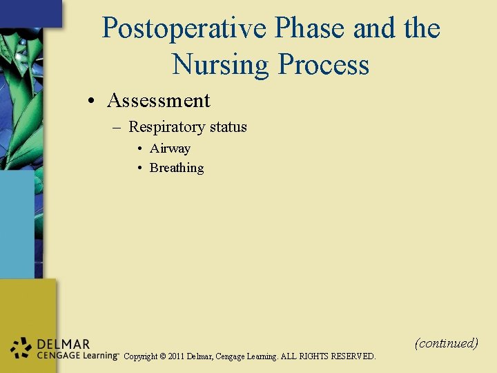 Postoperative Phase and the Nursing Process • Assessment – Respiratory status • Airway •