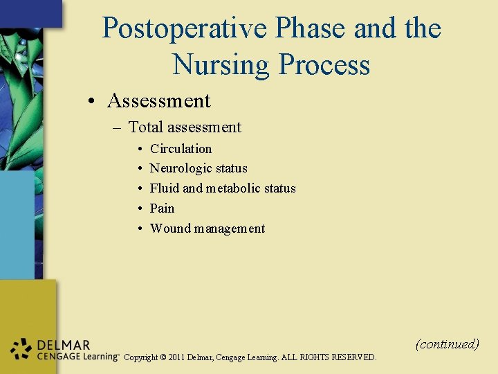 Postoperative Phase and the Nursing Process • Assessment – Total assessment • • •