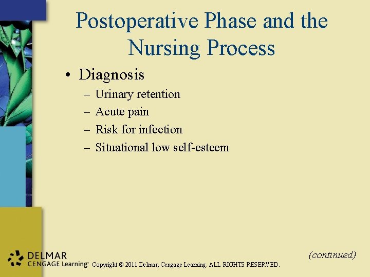 Postoperative Phase and the Nursing Process • Diagnosis – – Urinary retention Acute pain