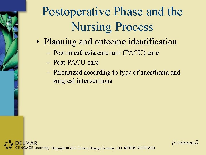 Postoperative Phase and the Nursing Process • Planning and outcome identification – Post-anesthesia care
