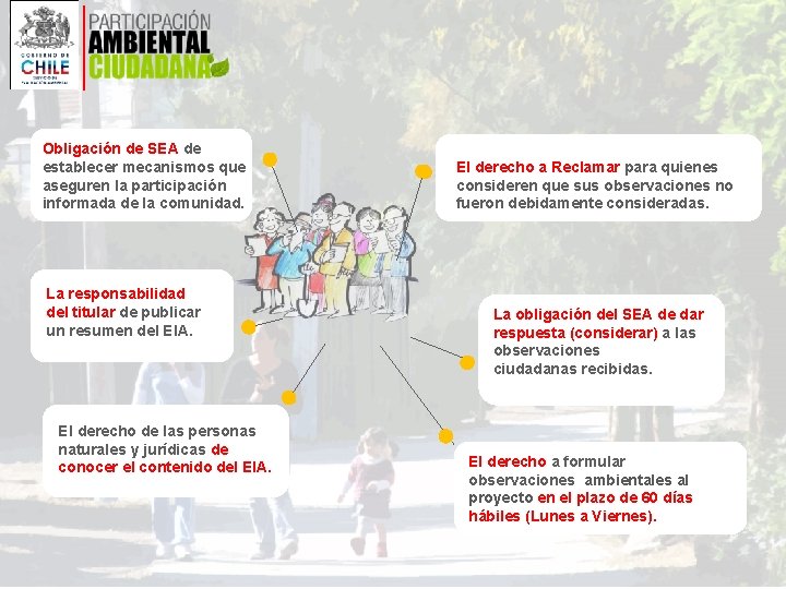 Obligación de SEA de establecer mecanismos que aseguren la participación informada de la comunidad. Obligación de SEA de establecer mecanismos que aseguren la participación informada de la comunidad.