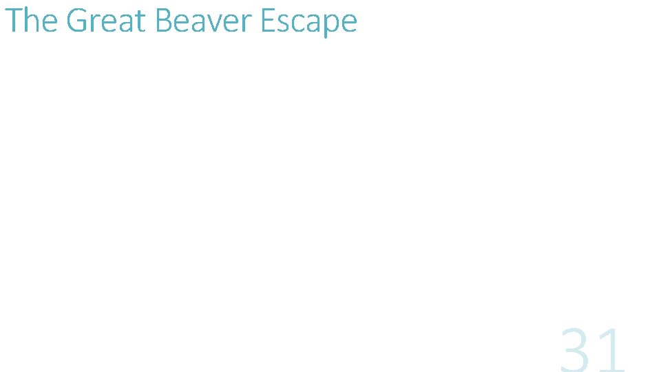 The Great Beaver Escape 