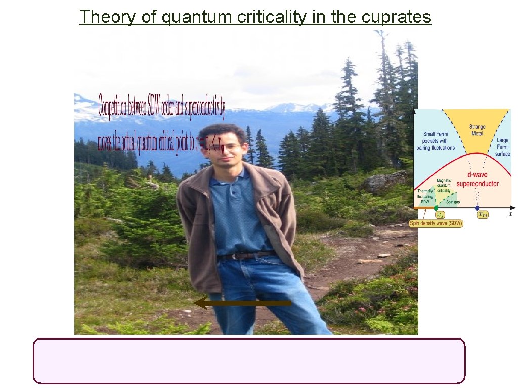 Theory of quantum criticality in the cuprates 