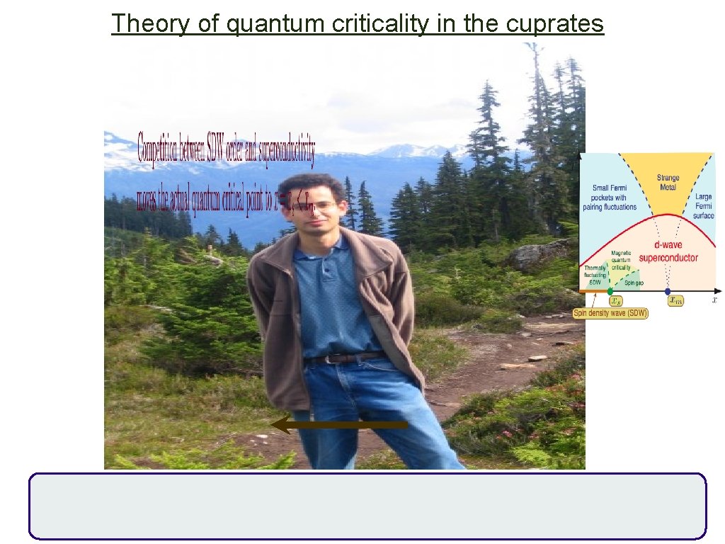 Theory of quantum criticality in the cuprates 