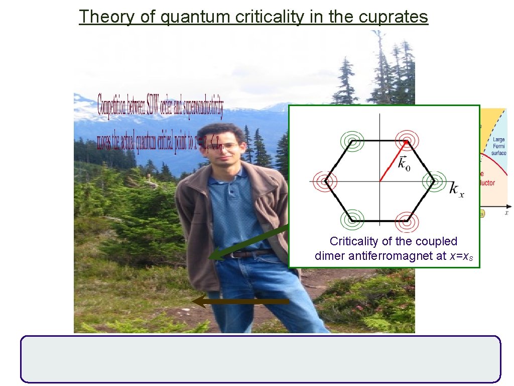 Theory of quantum criticality in the cuprates Criticality of the coupled dimer antiferromagnet at