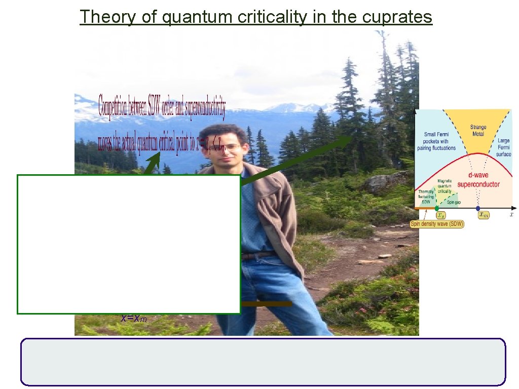 Theory of quantum criticality in the cuprates Criticality of the topological change in Fermi