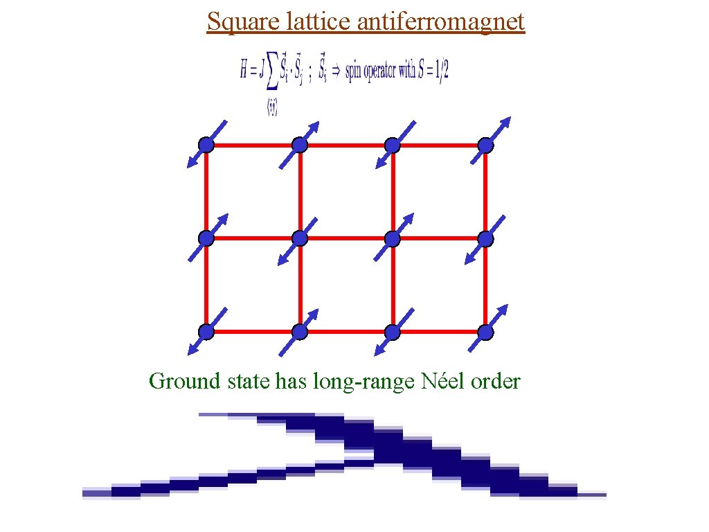 Square lattice antiferromagnet Ground state has long-range Néel order 