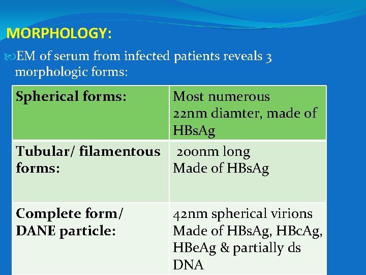 MORPHOLOGY: EM of serum from infected patients reveals 3 morphologic forms: Spherical forms: Most