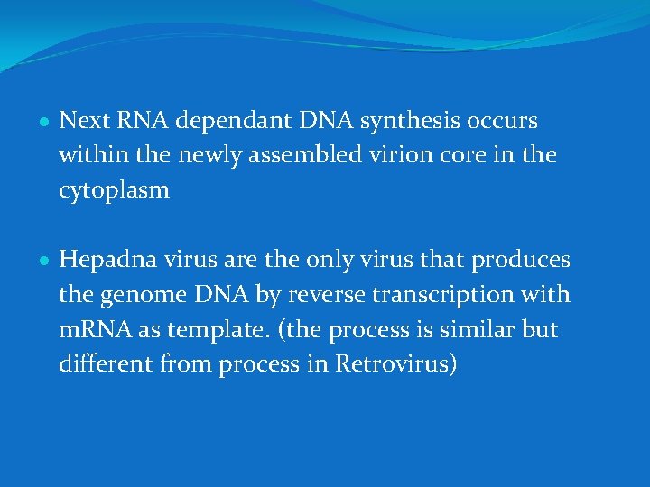  Next RNA dependant DNA synthesis occurs within the newly assembled virion core in