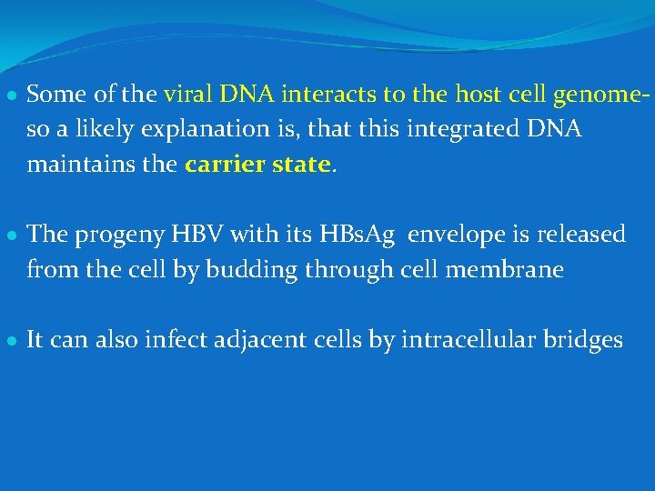  Some of the viral DNA interacts to the host cell genome- so a