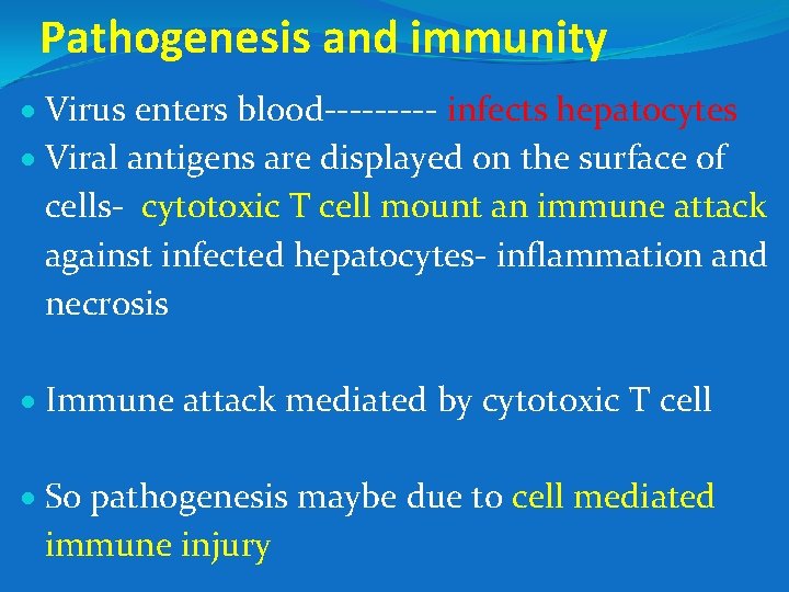 Pathogenesis and immunity Virus enters blood----- infects hepatocytes Viral antigens are displayed on the