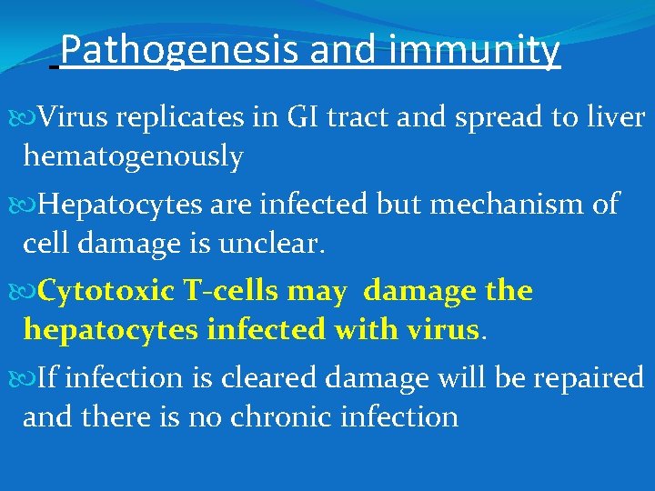 Pathogenesis and immunity Virus replicates in GI tract and spread to liver hematogenously Hepatocytes