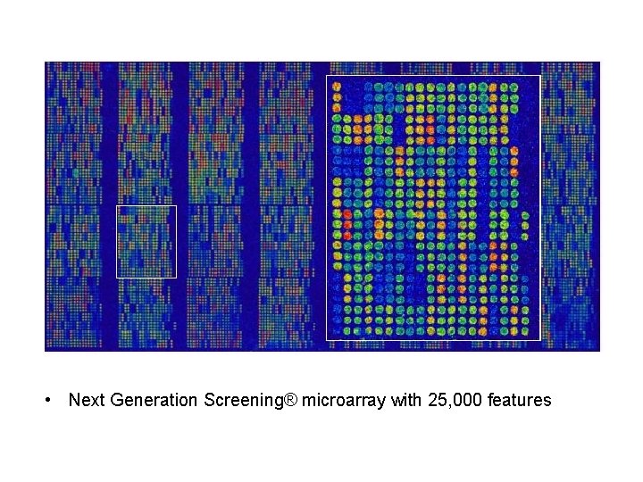  • Next Generation Screening® microarray with 25, 000 features 