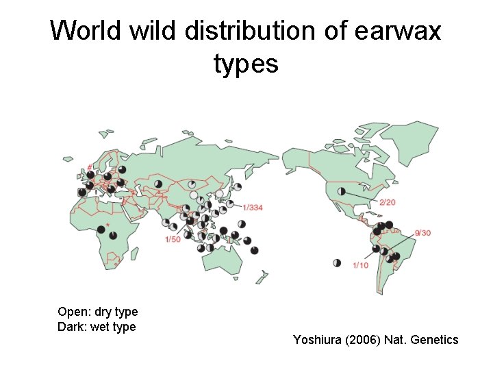 World wild distribution of earwax types Open: dry type Dark: wet type Yoshiura (2006)