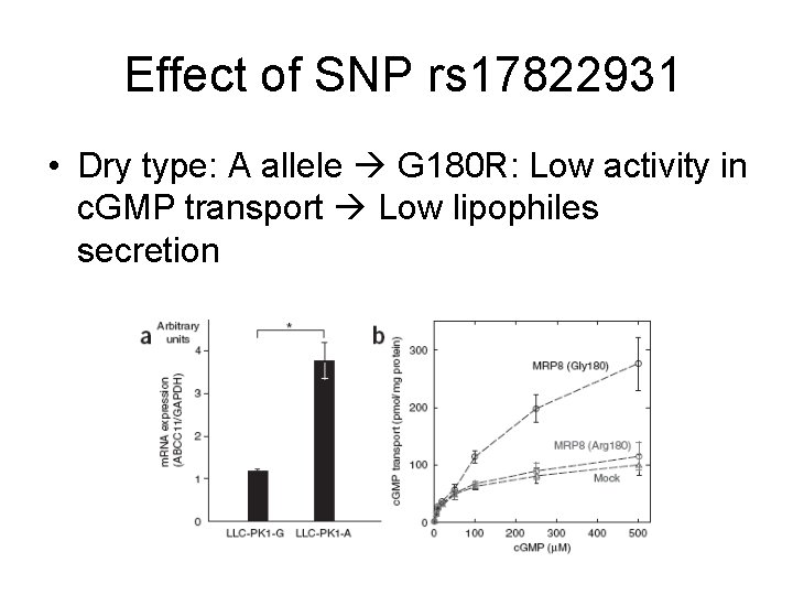 Effect of SNP rs 17822931 • Dry type: A allele G 180 R: Low