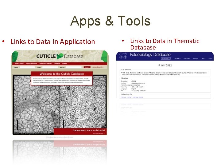 Apps & Tools • Links to Data in Application • Links to Data in