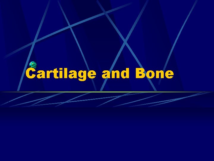 Cartilage and Bone 