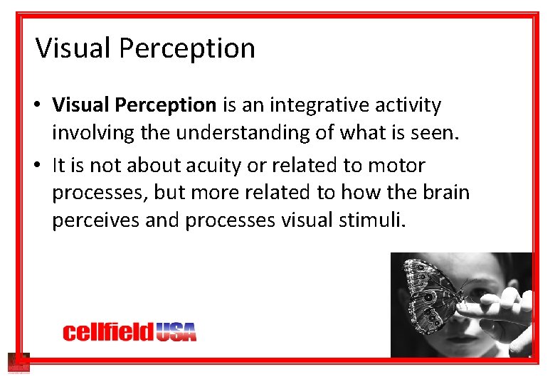 Visual Perception • Visual Perception is an integrative activity involving the understanding of what