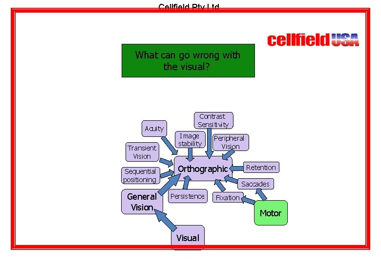 Cellfield Pty Ltd What can go wrong with the visual? Acuity Transient Vision Sequential