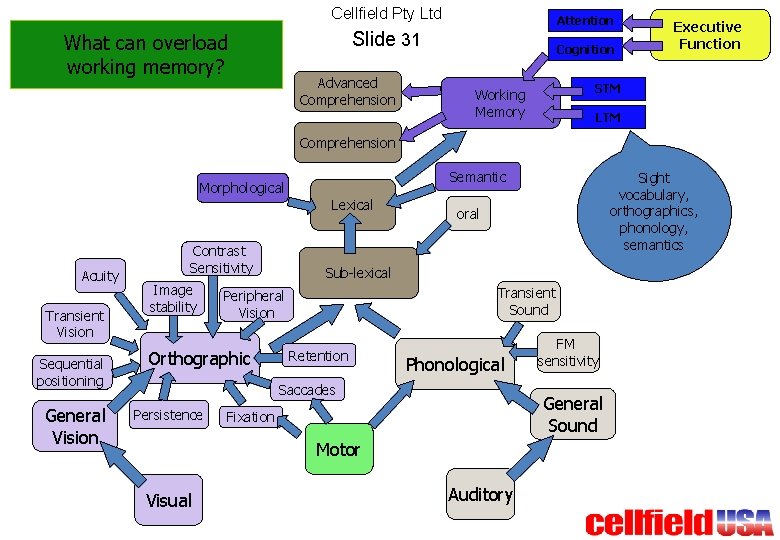 Cellfield Pty Ltd Attention Slide 31 What can overload working memory? Advanced Comprehension Cognition