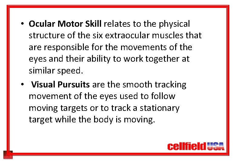 Ocular-Motor • Ocular Motor Skill relates to the physical structure of the six extraocular