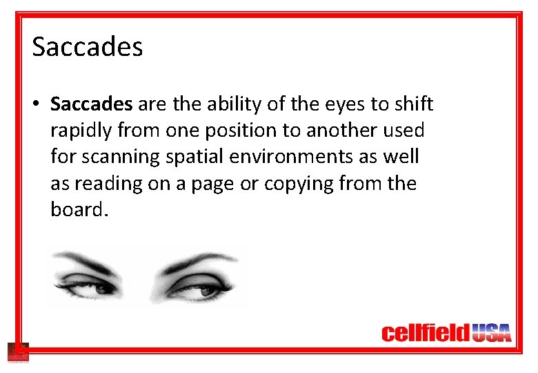 Saccades • Saccades are the ability of the eyes to shift rapidly from one