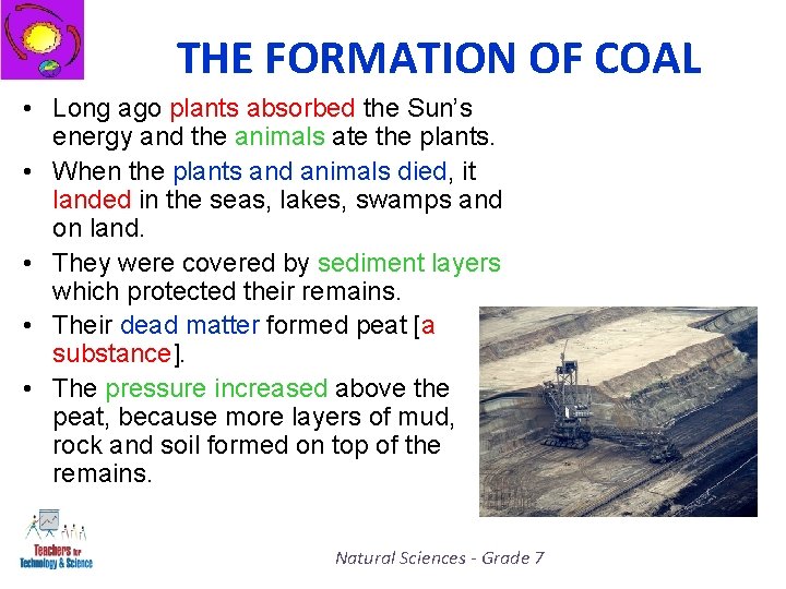 THE FORMATION OF COAL • Long ago plants absorbed the Sun’s energy and the