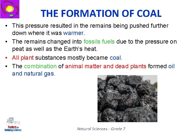 THE FORMATION OF COAL • This pressure resulted in the remains being pushed further