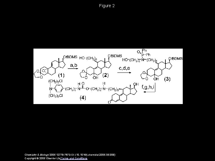 Figure 2 Chemistry & Biology 2005 12779 -787 DOI: (10. 1016/j. chembiol. 2005. 009)