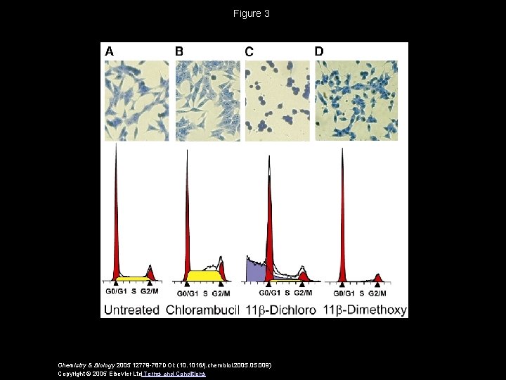 Figure 3 Chemistry & Biology 2005 12779 -787 DOI: (10. 1016/j. chembiol. 2005. 009)