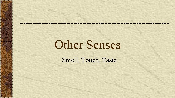Other Senses Smell, Touch, Taste 
