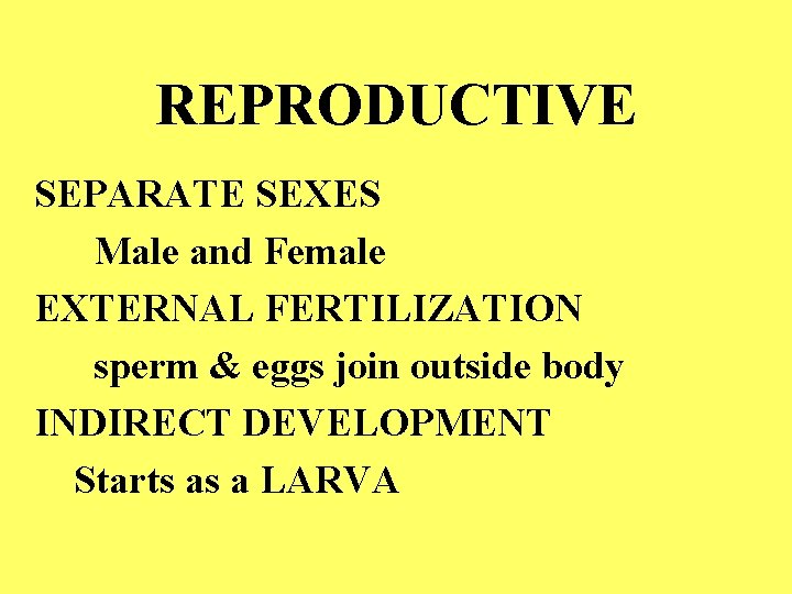 REPRODUCTIVE SEPARATE SEXES Male and Female EXTERNAL FERTILIZATION sperm & eggs join outside body