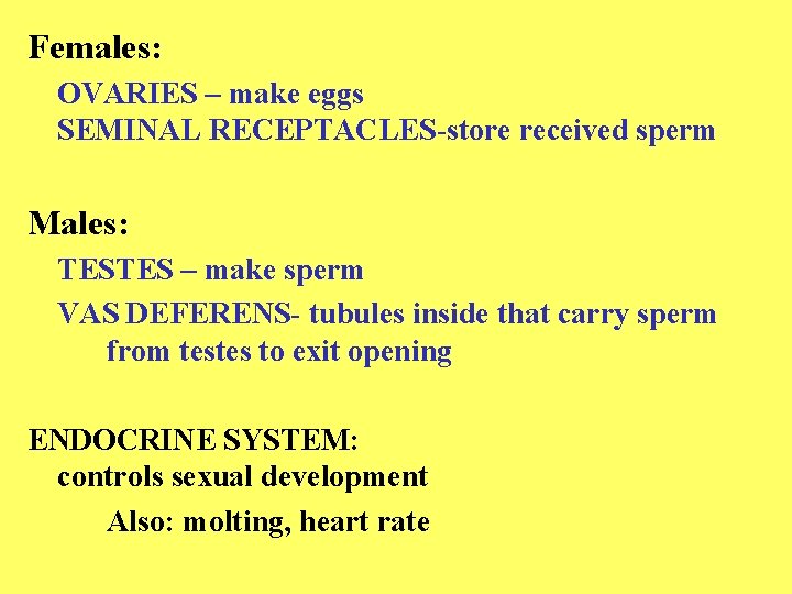 Females: OVARIES – make eggs SEMINAL RECEPTACLES-store received sperm Males: TESTES – make sperm