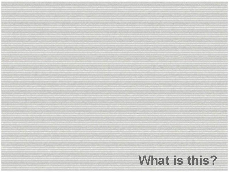 What is this? 