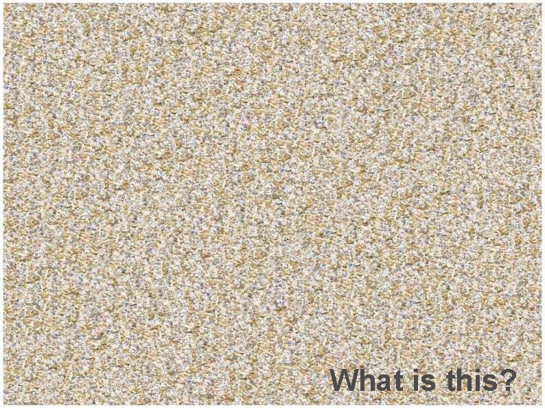 What is this? 
