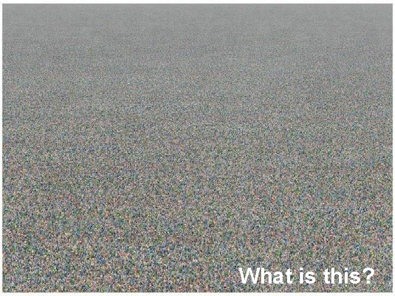 What is this? 