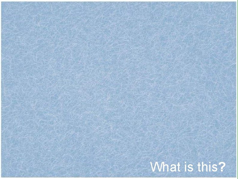 What is this? 
