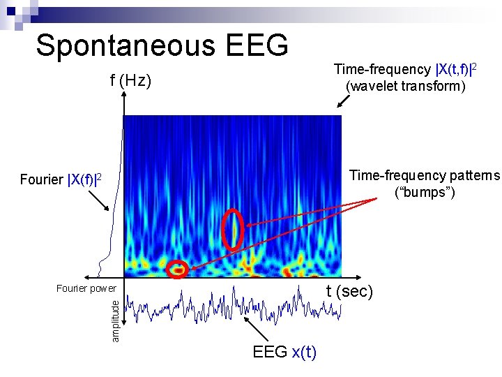 Spontaneous EEG f (Hz) Time-frequency |X(t, f)|2 (wavelet transform) Time-frequency patterns (“bumps”) Fourier |X(f)|2
