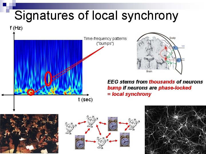 Signatures of local synchrony f (Hz) Time-frequency patterns (“bumps”) t (sec) EEG stems from